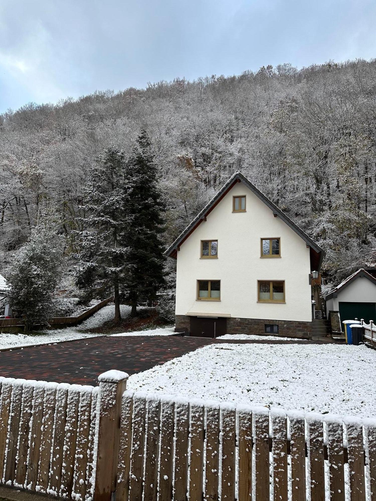 Ferienhaus Ginkgo Biloba Malsbenden Dış mekan fotoğraf