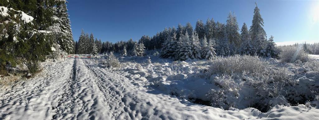 Ferienhaus Ginkgo Biloba Malsbenden Dış mekan fotoğraf