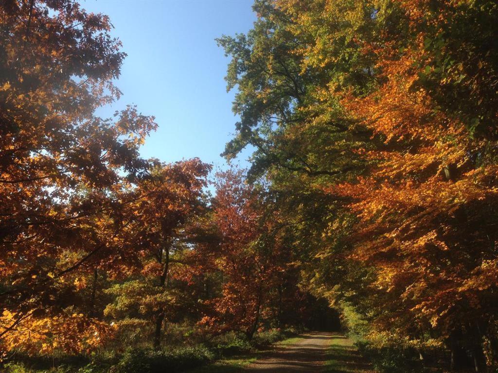 Ferienhaus Ginkgo Biloba Malsbenden Dış mekan fotoğraf