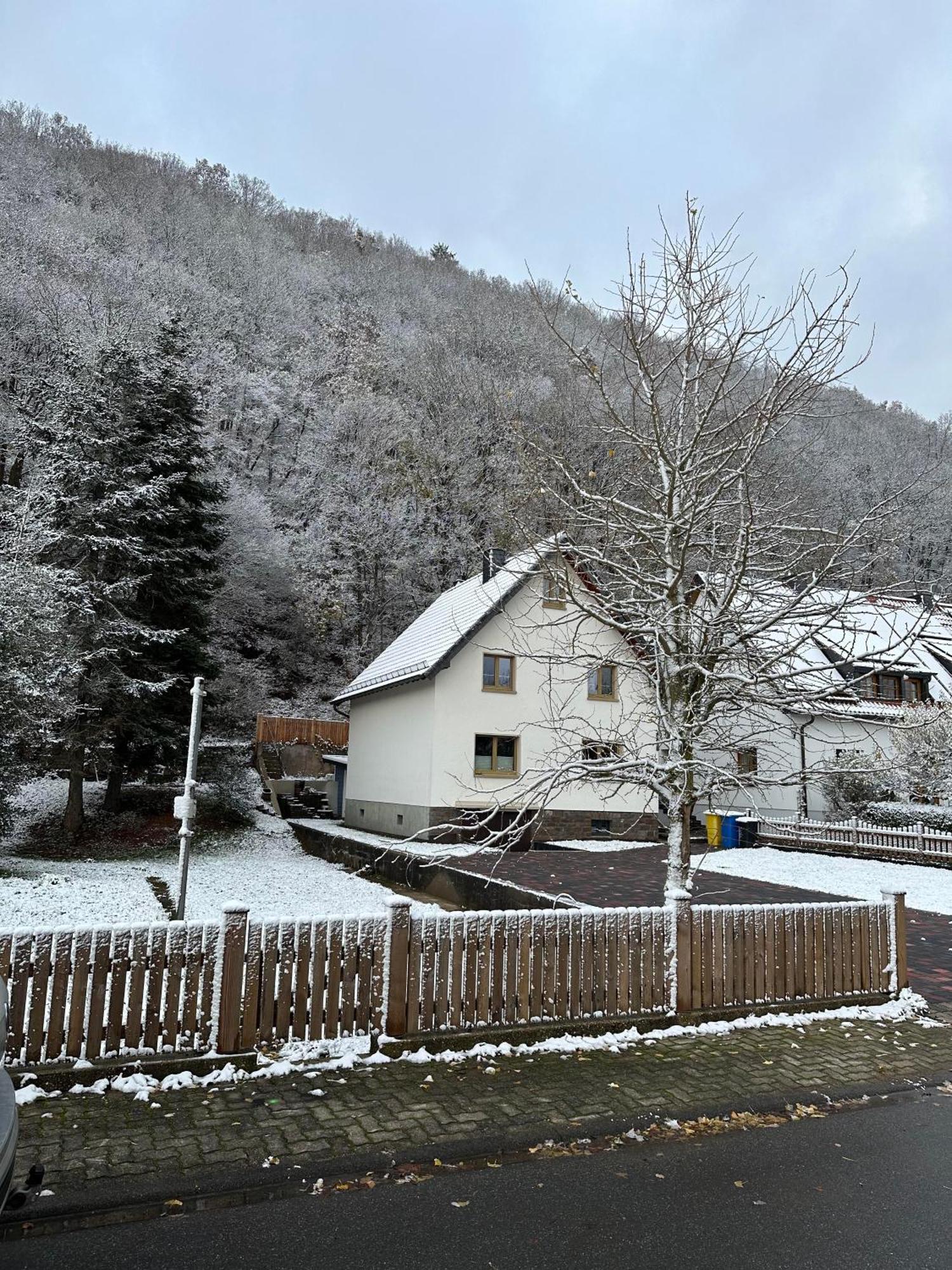Ferienhaus Ginkgo Biloba Malsbenden Dış mekan fotoğraf