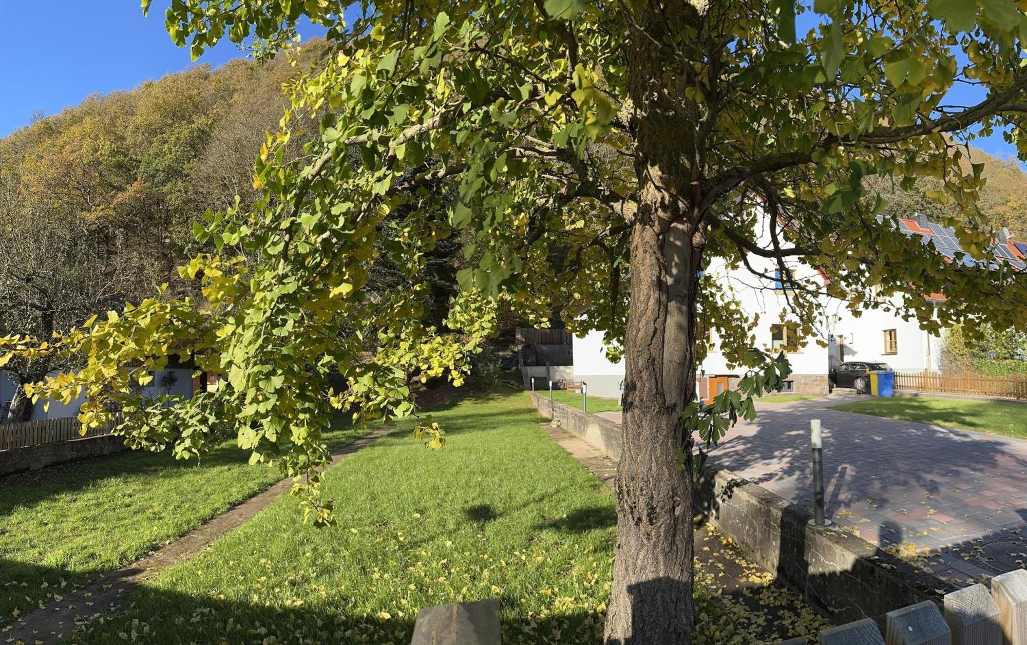 Ferienhaus Ginkgo Biloba Malsbenden Dış mekan fotoğraf