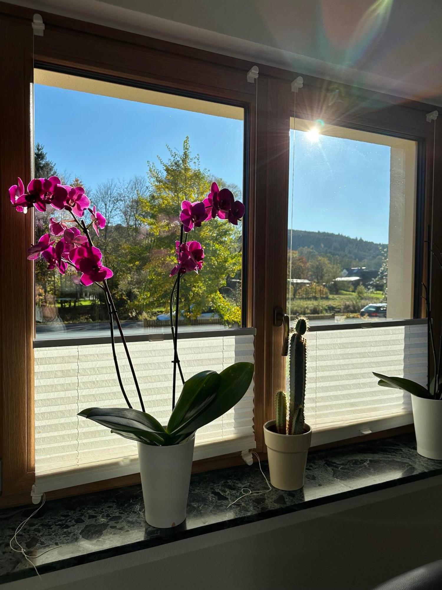 Ferienhaus Ginkgo Biloba Malsbenden Dış mekan fotoğraf